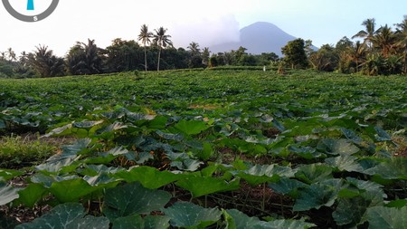 Tanah 73.000 m2 Lokasi Strategis di Jalan Protokol Kauditan Minahasa Utara