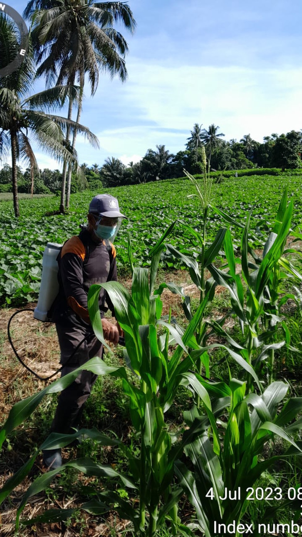 Tanah 73.000 m2 Lokasi Strategis di Jalan Protokol Kauditan Minahasa Utara