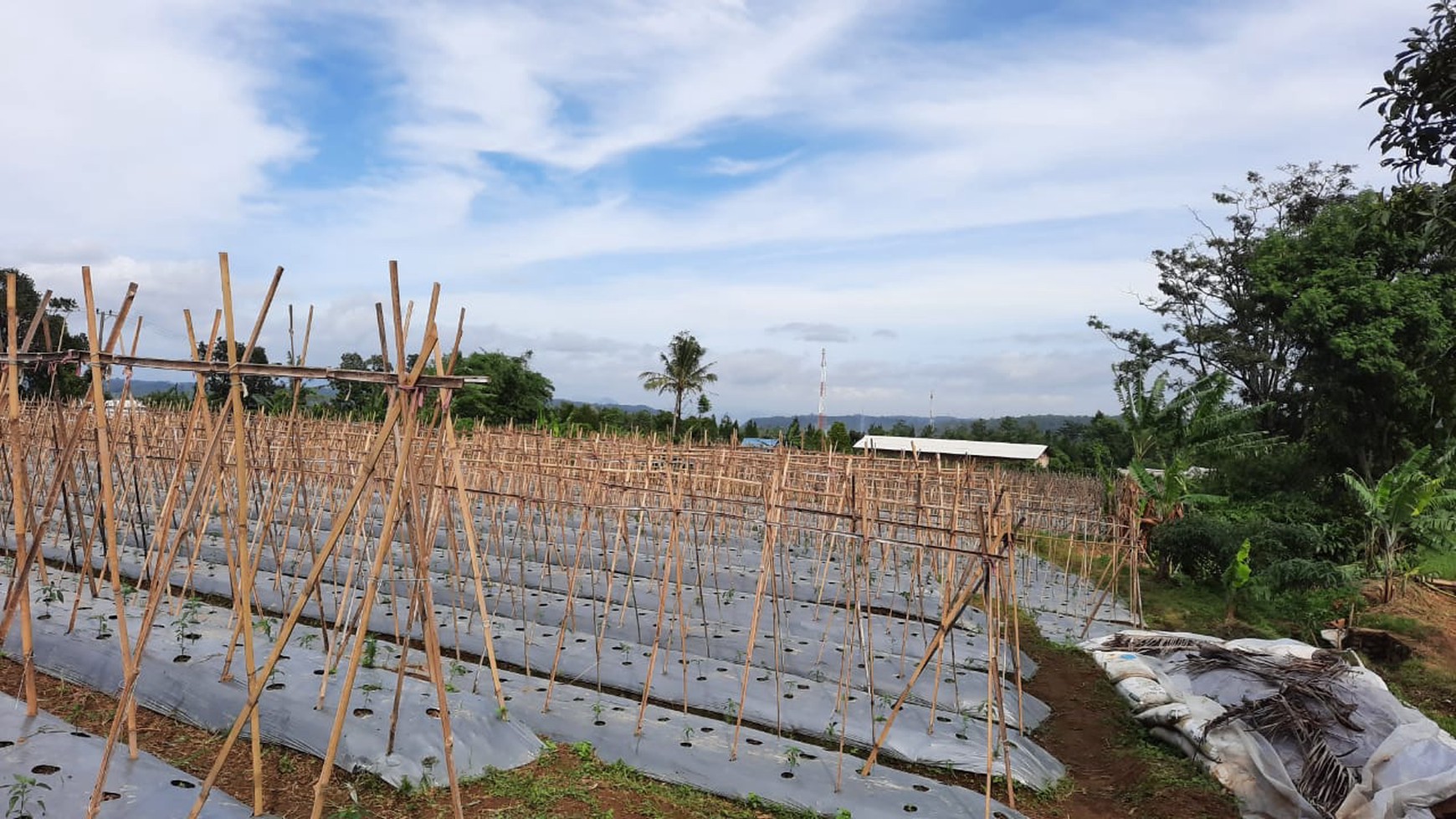 Tanah/Kavling Desa Wanayasa, Curug Cipurut, Purwakarta, Cocok untuk Area Pariwisata