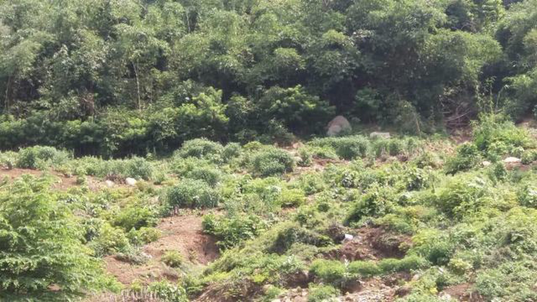 Tanah/ Kavling di Purwakarta Jawa Barat desa Kutamanah Sukasari, Pinggir Jalan Raya Murah