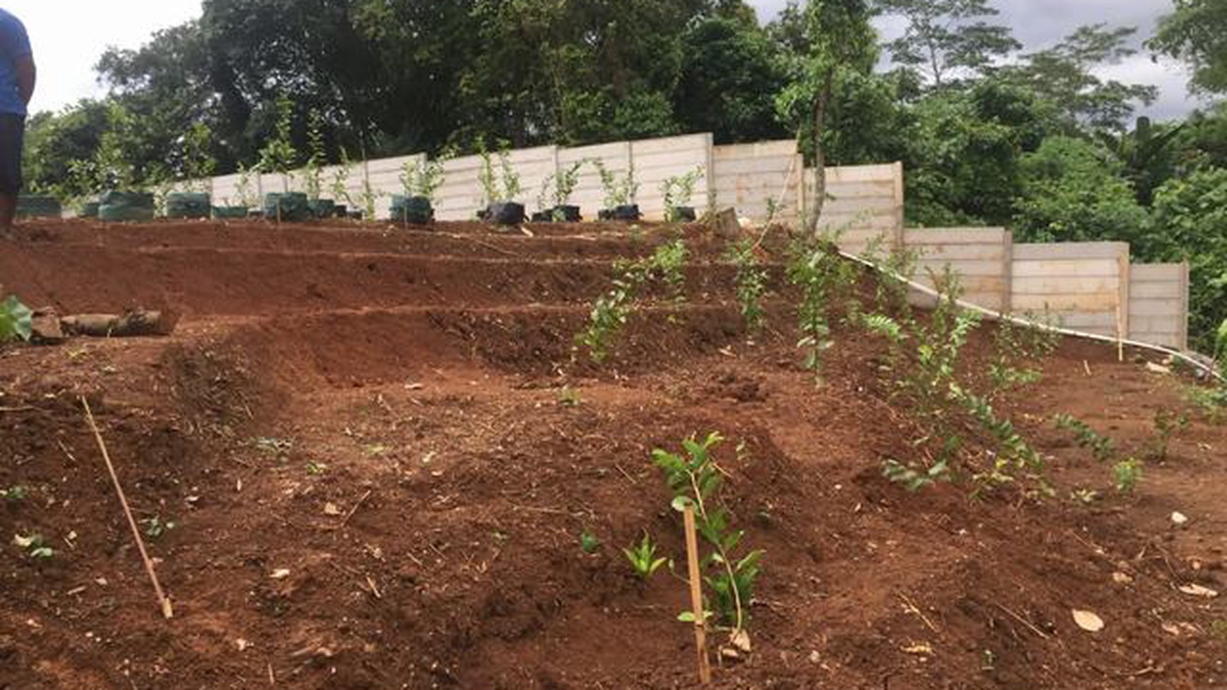 Tanah Murah di Parung Panjang Bogor Desa Cikuda, Dekat Sungai Kecil