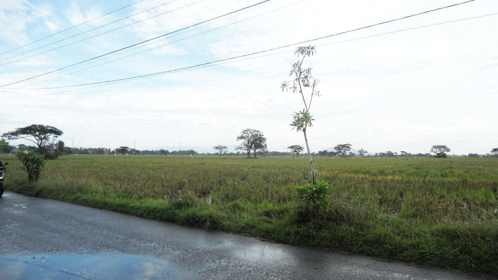 Dijual Tanah/ Kavling Kampung Bagawati, Dekat Gudang/ Pabrik, Daerah Pengembangan Kota Serang