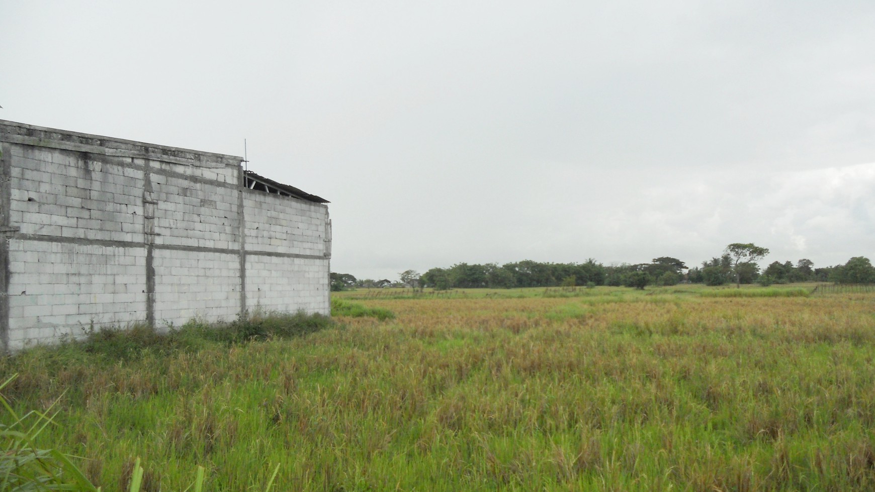 Dijual Tanah/ Kavling Kampung Bagawati, Dekat Gudang/ Pabrik, Daerah Pengembangan Kota Serang