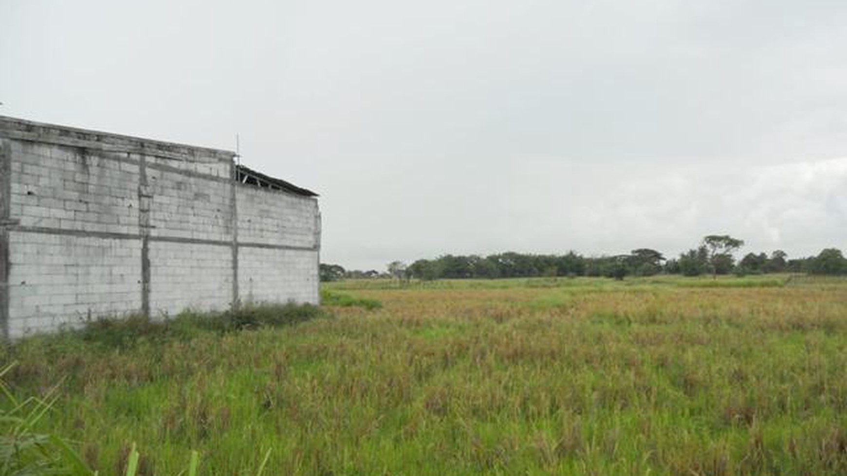 dijual tanah kavling area serang banten jalan sawah luhur kampung bagawati