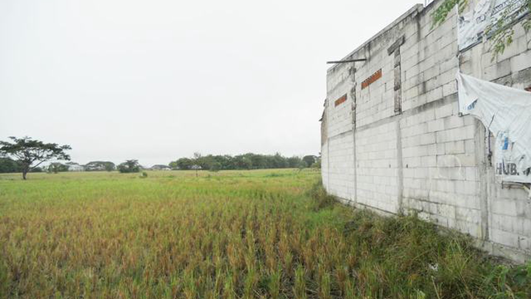 dijual tanah kavling area serang banten jalan sawah luhur kampung bagawati