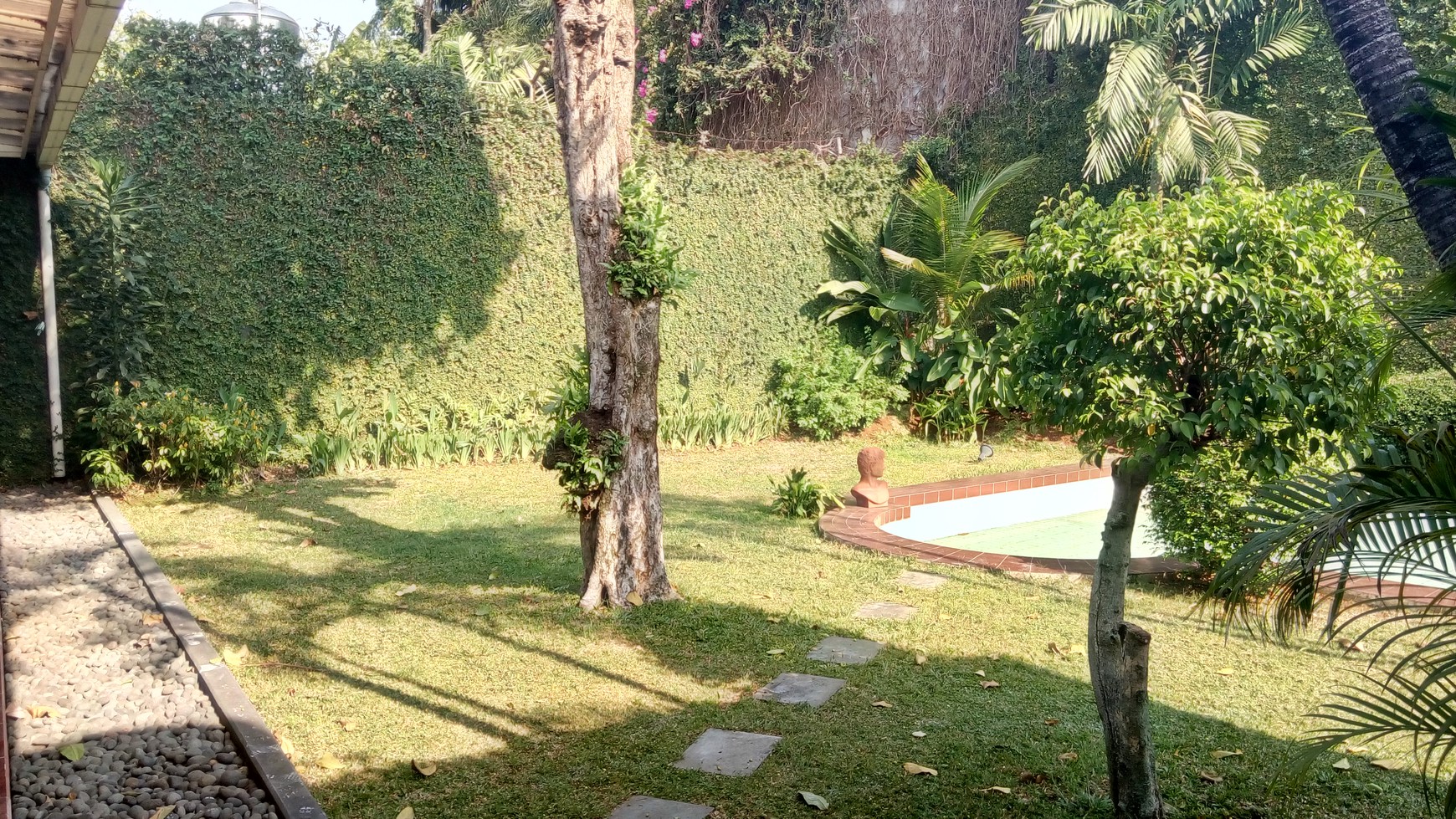 Bright House with great backyard at Kemang Selatan