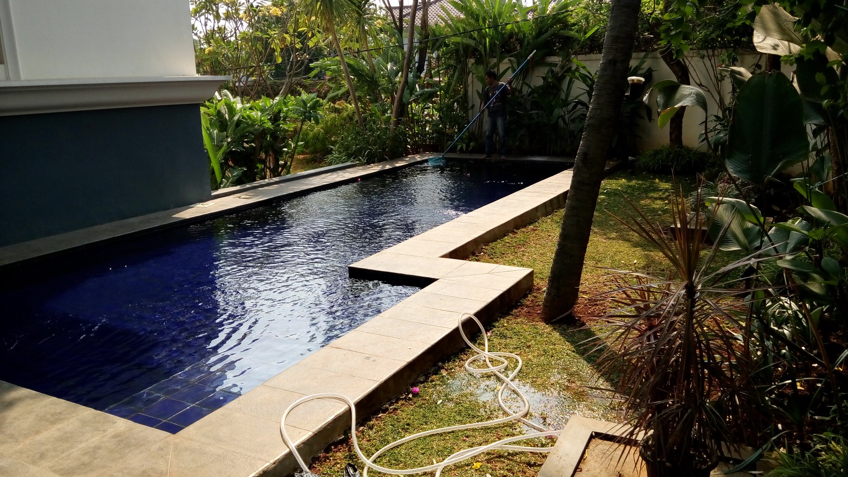 Bright and Simple House in Kemang