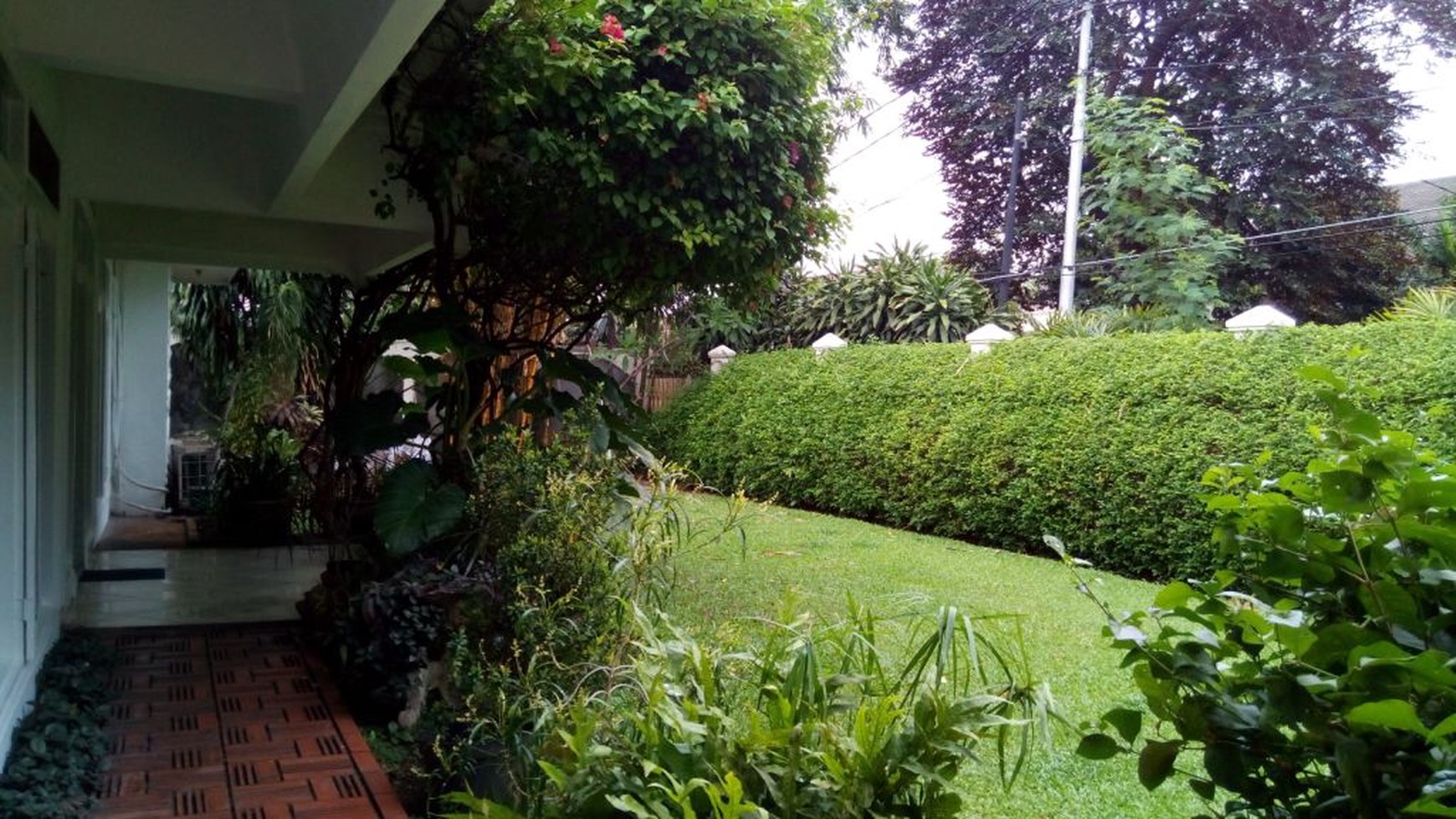 Classic House With Pool and Big Garden in Kemang " The Price Can Be Negotiable "