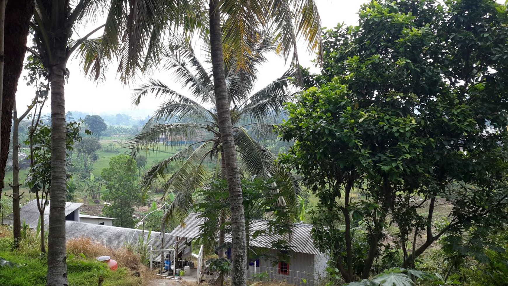 Kavling Pinggir Jalan dibawah kaki gunung salak, Lingkungan Sejuk Asri Alami - Pamijahan Bogor