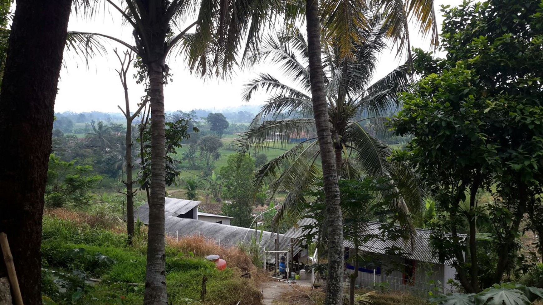 Kavling Pinggir Jalan dibawah kaki gunung salak, Lingkungan Sejuk Asri Alami - Pamijahan Bogor