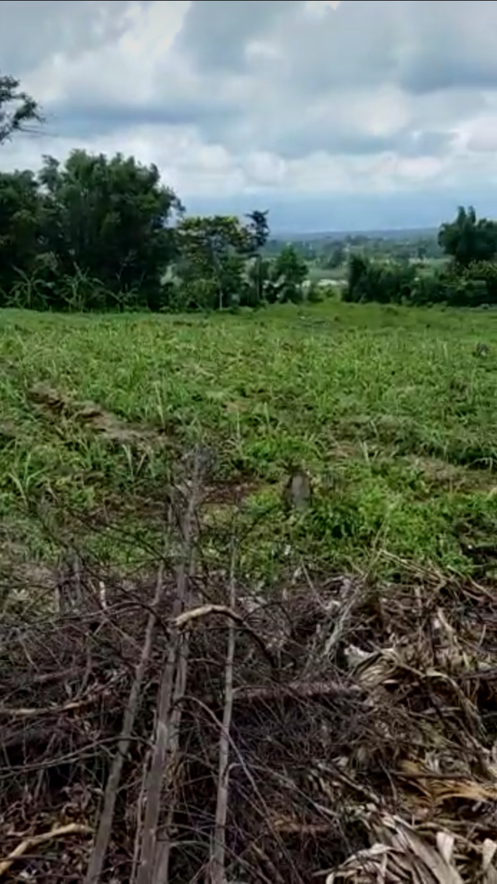 Tanah Kavling di Area Yonkav Singosari Malang Jawa Timur, Kawasan Pabrik