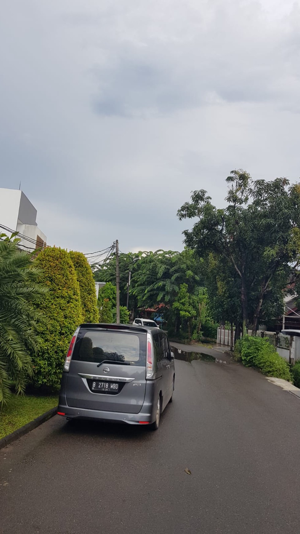 Rumah 1 lantai dengan halaman yang luas dan asri di Bintaro.