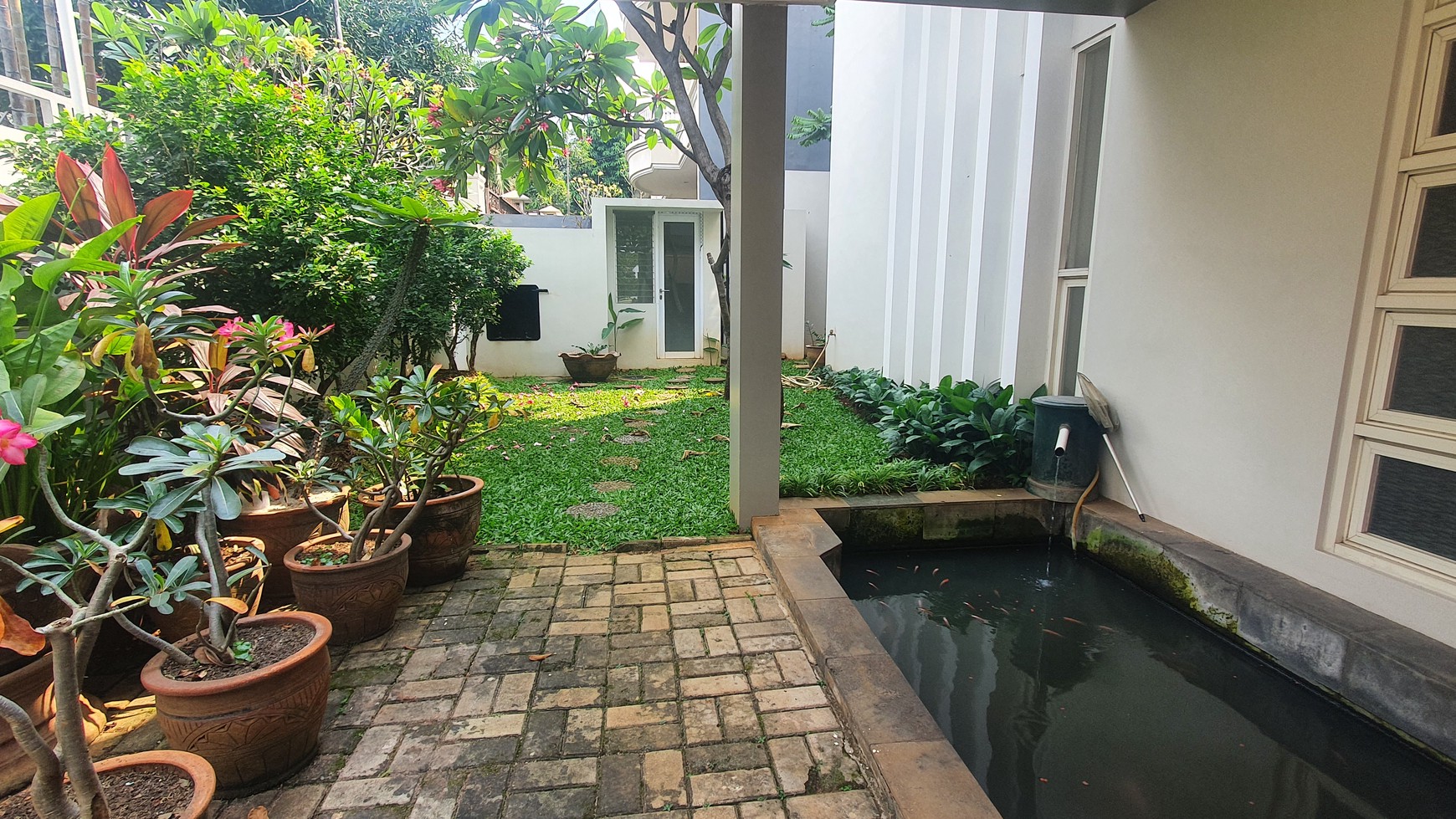 Comfortable and beautiful house In Kuningan area for expatriat and others "The price can be negotiable"