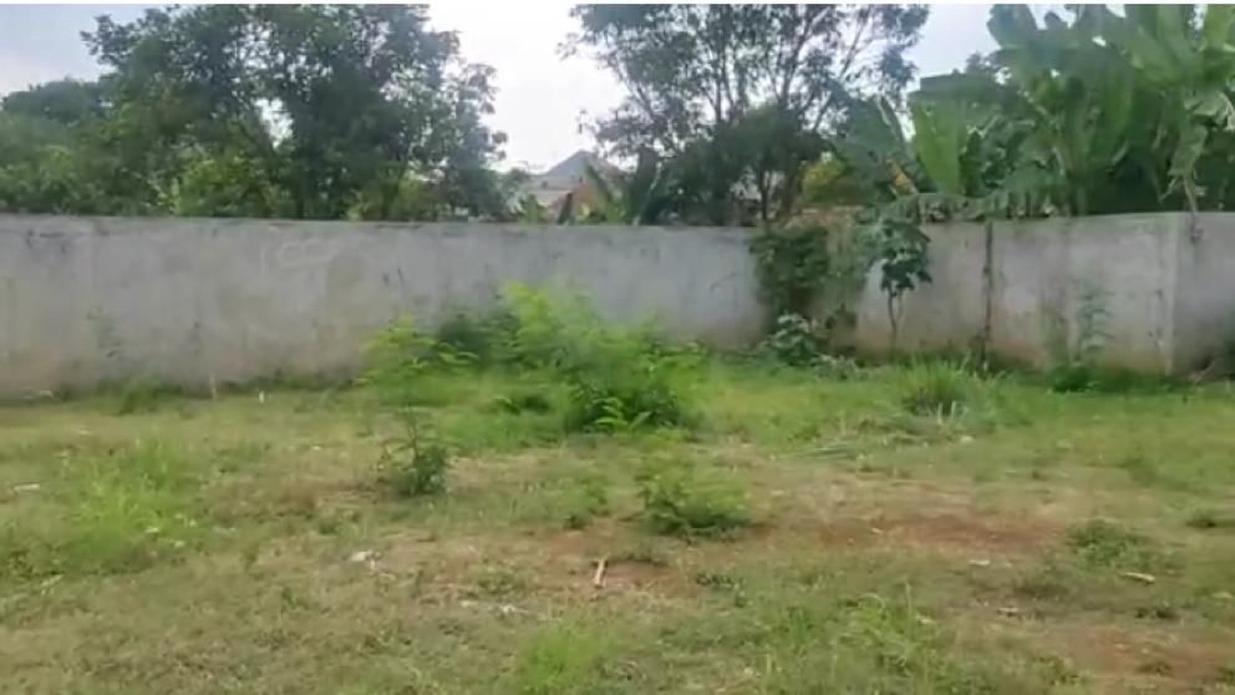 Kavling Bagus Diarea Kemang Parung, Cocok Untuk Hunian Cluster