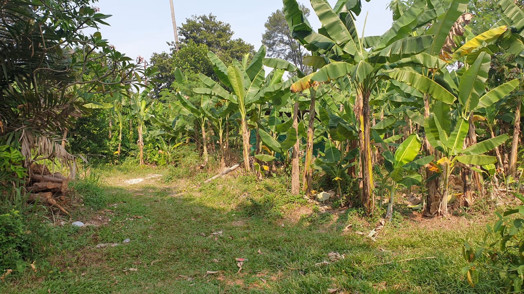 Tanah Ngantong Diarea Beji Depok Cocok Untuk Perumahan & Cluster Nempel Toll Deseri