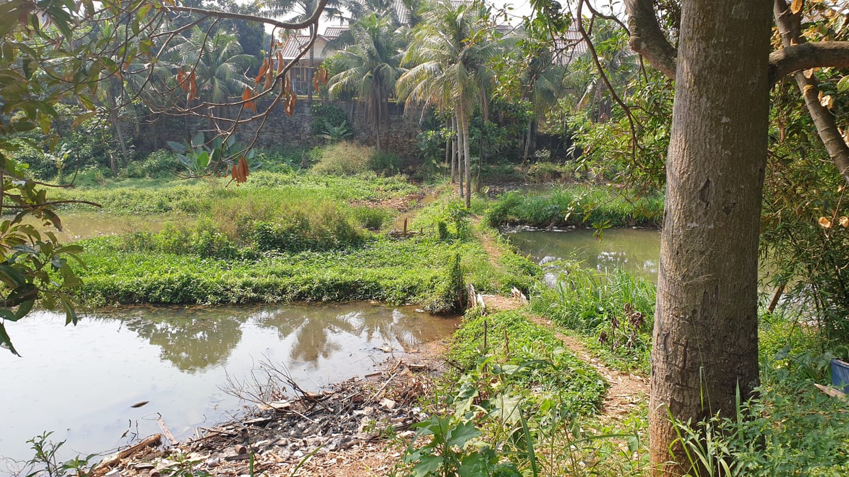 Tanah Ngantong Diarea Beji Depok Cocok Untuk Perumahan & Cluster Nempel Toll Deseri