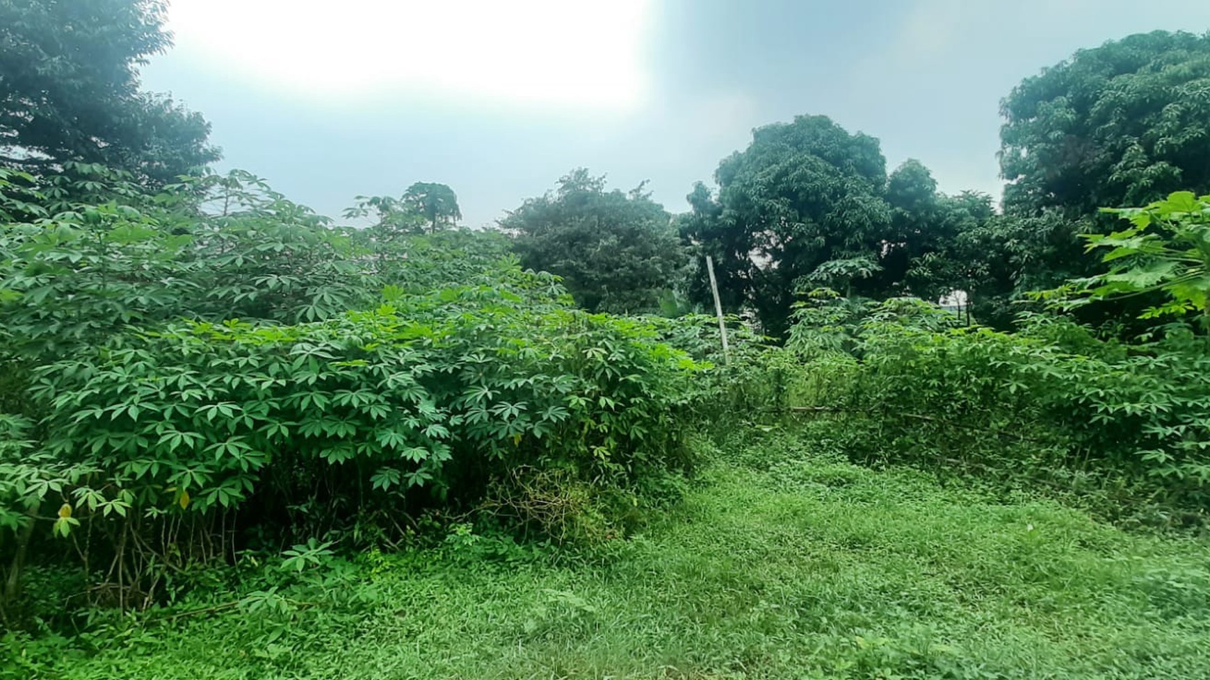 Tanah Bagus Diarea Jl Nusa Jaya Pondok Ranji Sudah Dipagar & Tertata Rapi