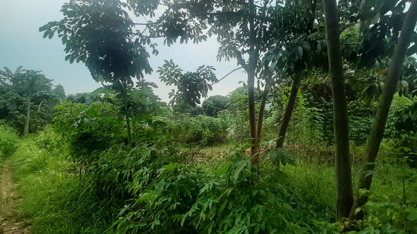 Tanah Bagus Diarea Jl Nusa Jaya Pondok Ranji Sudah Dipagar & Tertata Rapi