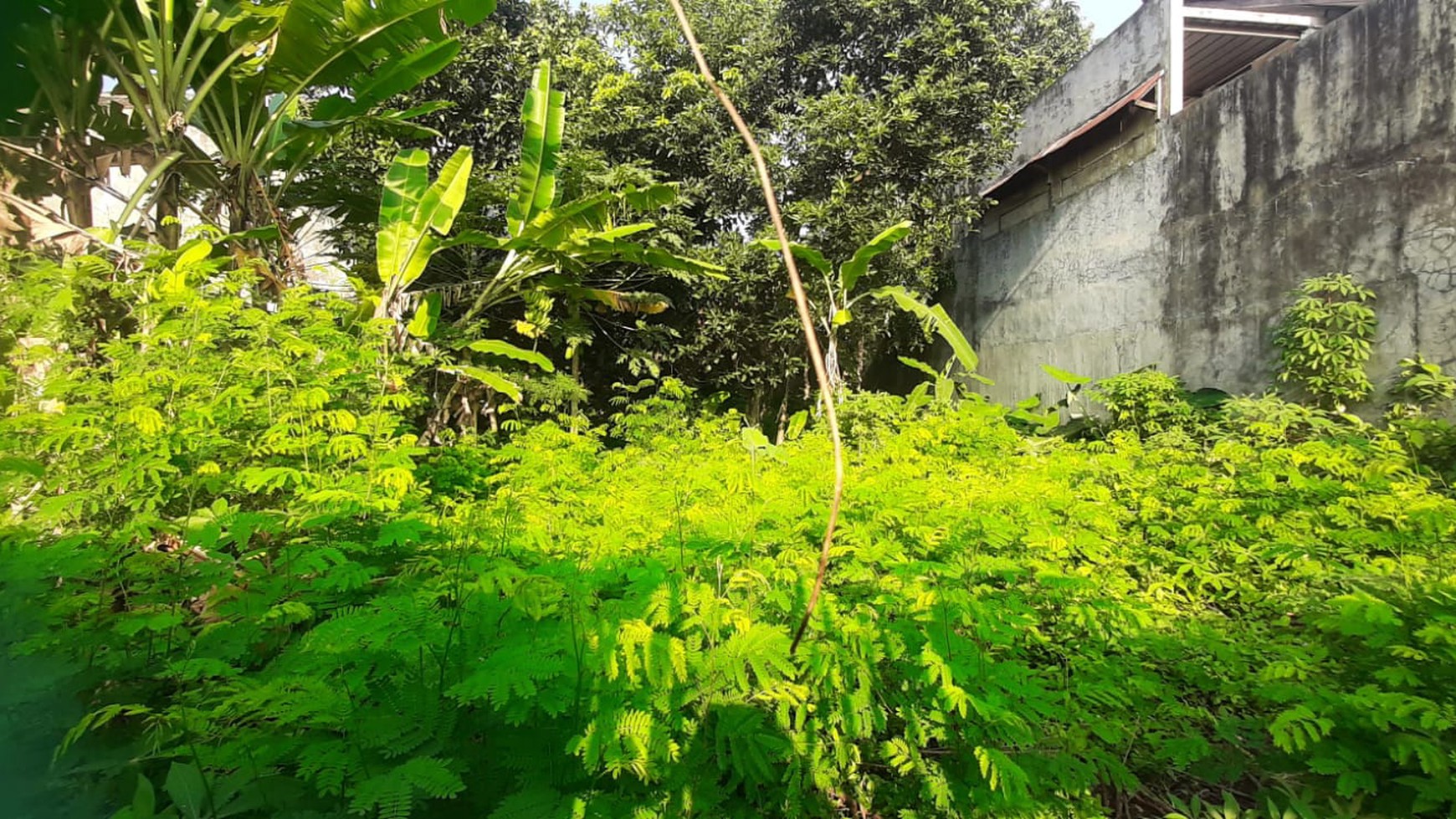 Tanah Bagus Diarea Jl Nusa Jaya Pondok Ranji Sudah Dipagar & Tertata Rapi