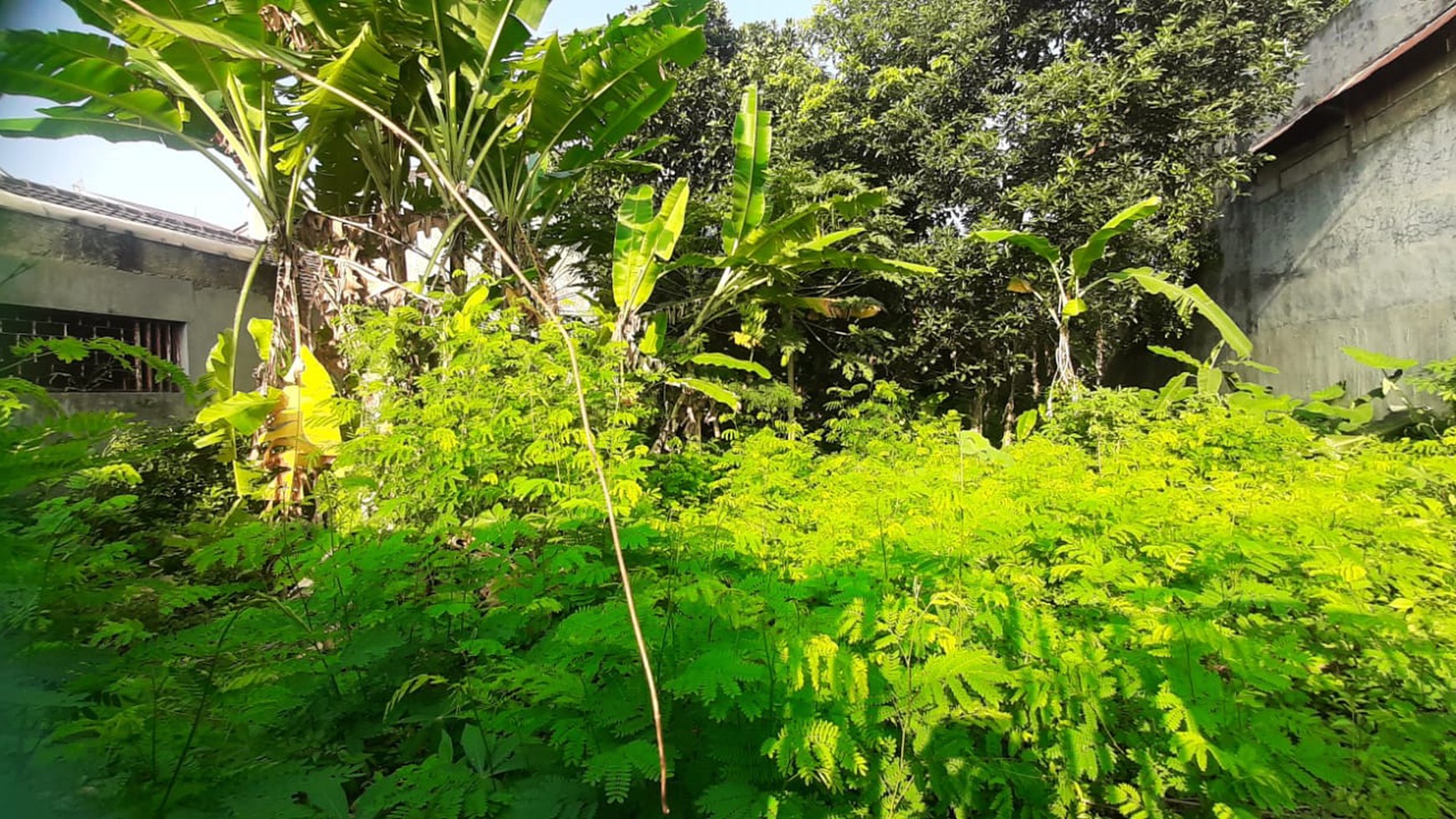 Tanah Bagus Diarea Jl Nusa Jaya Pondok Ranji Sudah Dipagar & Tertata Rapi