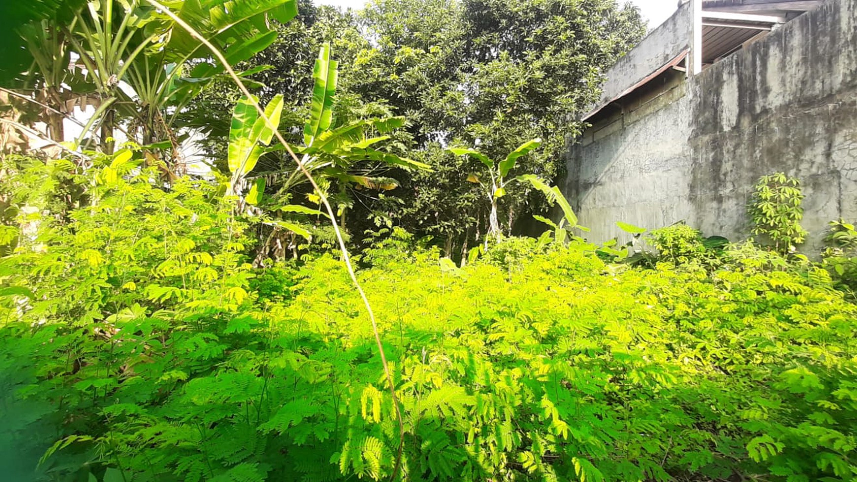 Tanah Bagus Diarea Jl Nusa Jaya Pondok Ranji Sudah Dipagar & Tertata Rapi