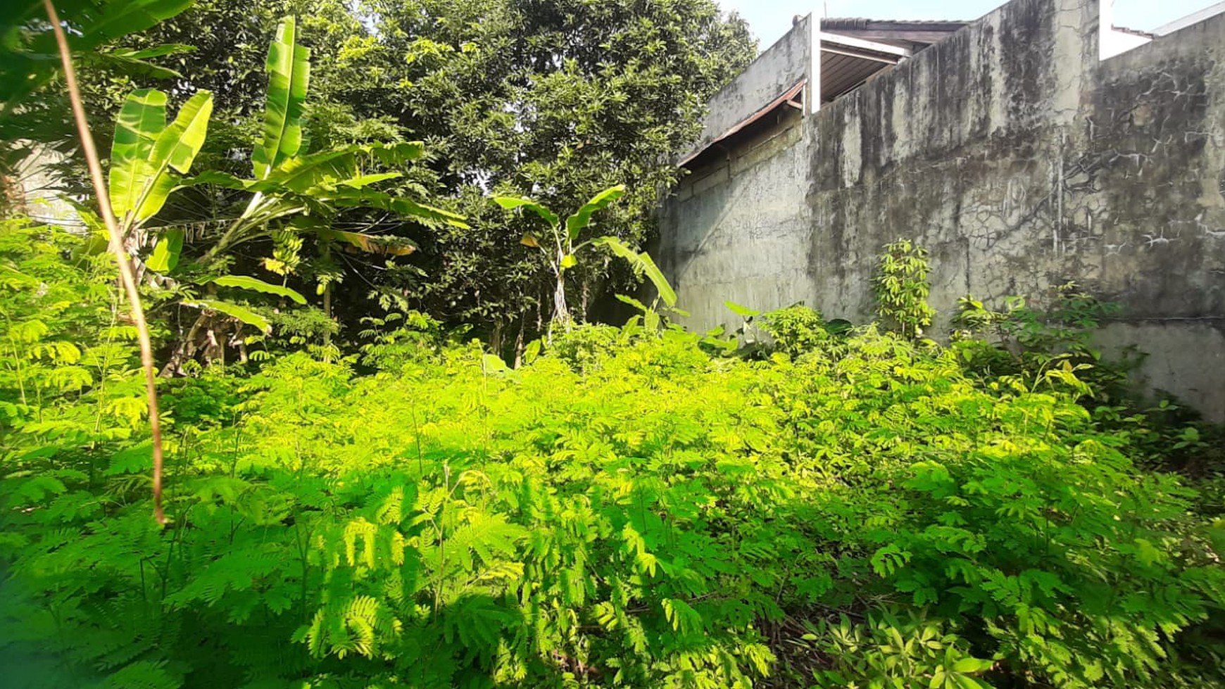 Tanah Bagus Diarea Jl Nusa Jaya Pondok Ranji Sudah Dipagar & Tertata Rapi