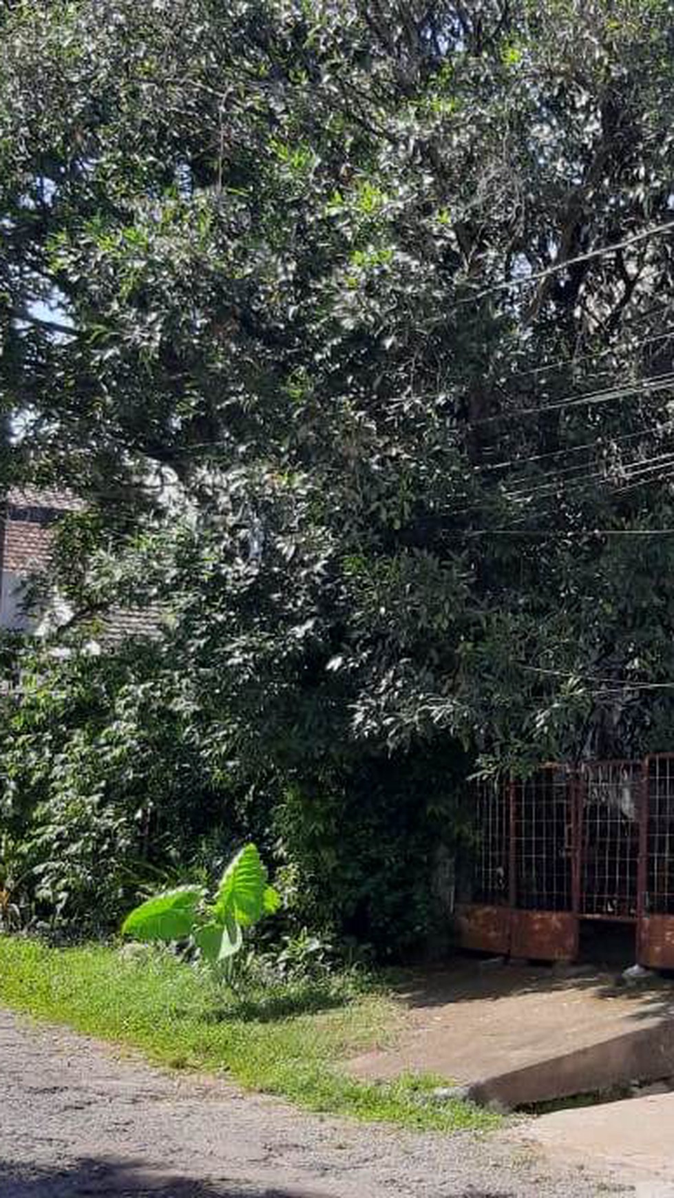 Kavling Harga Dibawah Pasar Diarea Komplek Megapolitan Cinere  