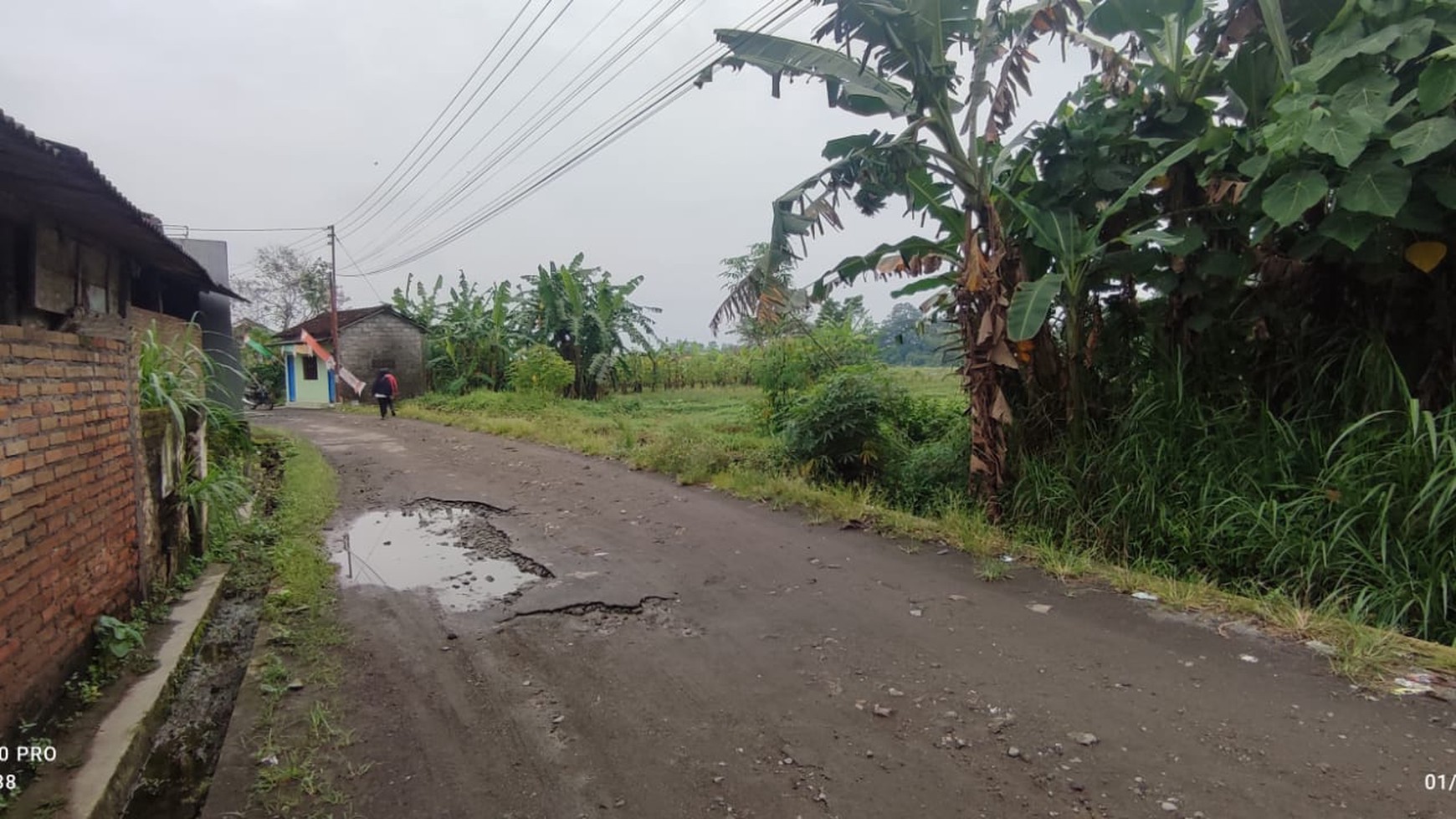 Tanah Sawah 1485 Meter Persegi Di Kawasan Tenang dan Asri Sinduadi Mlati Sleman