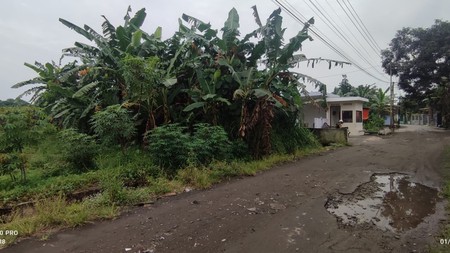 Tanah Sawah 1485 Meter Persegi Di Kawasan Tenang dan Asri Sinduadi Mlati Sleman