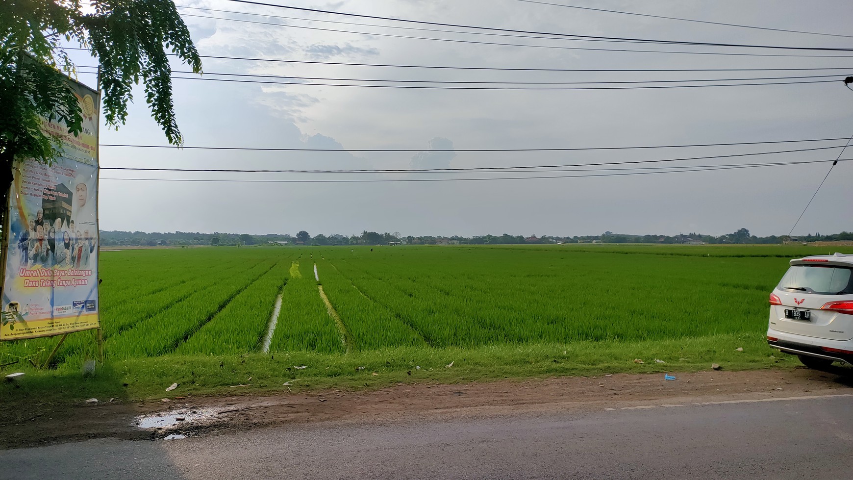 Tanah Dijual di Karawang Jalan Raya Rengasdengklok