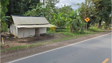 Dijual Murah  Tanah Jalan Lintas timur Sumatera Tulang bawang Bandar lampung