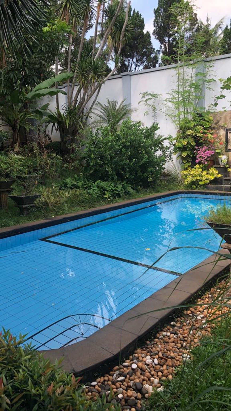 Rumah Luxury, Cantik, Asri dengan Swimming Pool siap huni di Bintaro.