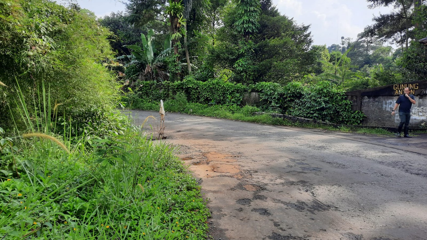 Kavling bagus, sejuk, cocok untuk Cluster di Bogor..