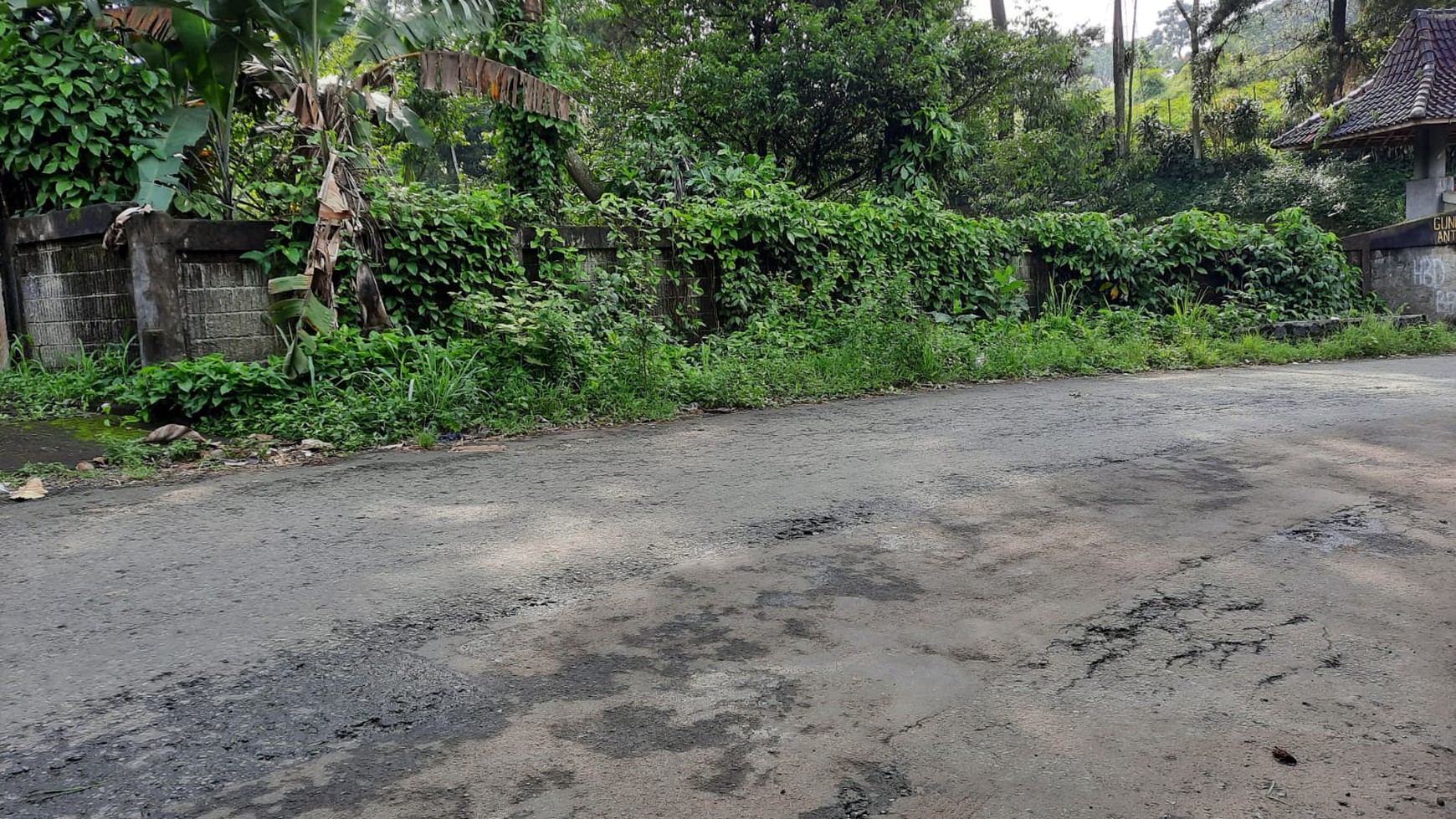 Kavling bagus, sejuk, cocok untuk Cluster di Bogor..