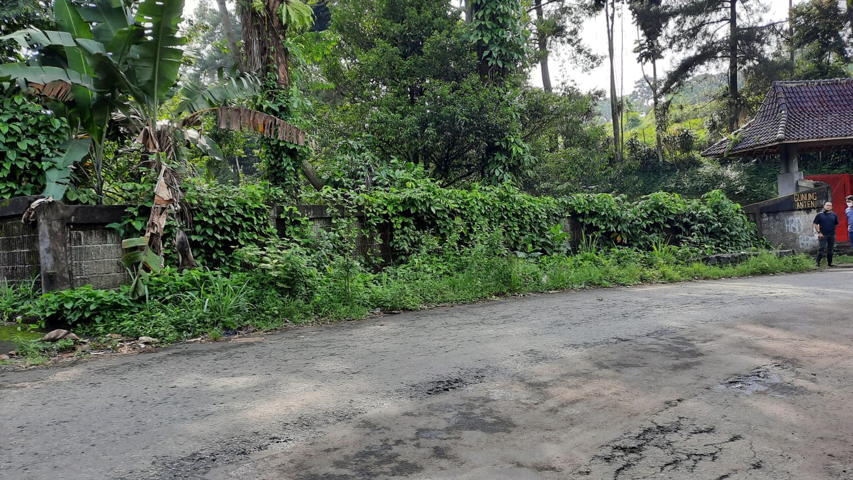 Kavling bagus, sejuk, cocok untuk Cluster di Bogor..