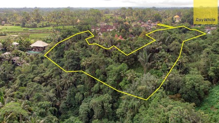 12,619 sq m of Freehold Land with Stunning River and Valley Views Located 7 Minutes from Ubud Palace