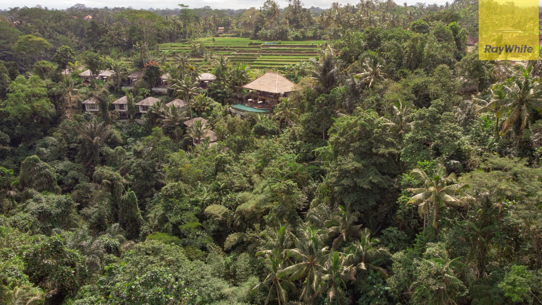 12,619 sq m of Freehold Land with Stunning River and Valley Views Located 7 Minutes from Ubud Palace