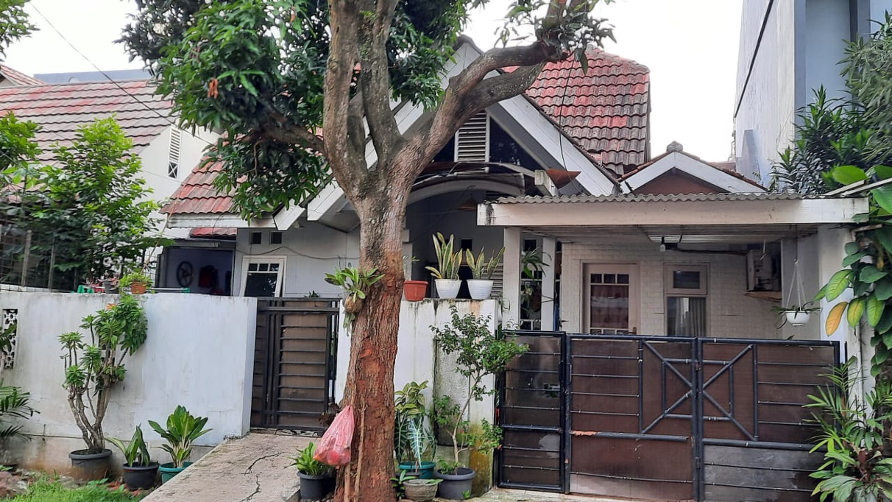 Rumah 1 lantai dengan paviliun, lingkungan aman dan nyaman  di BSD.