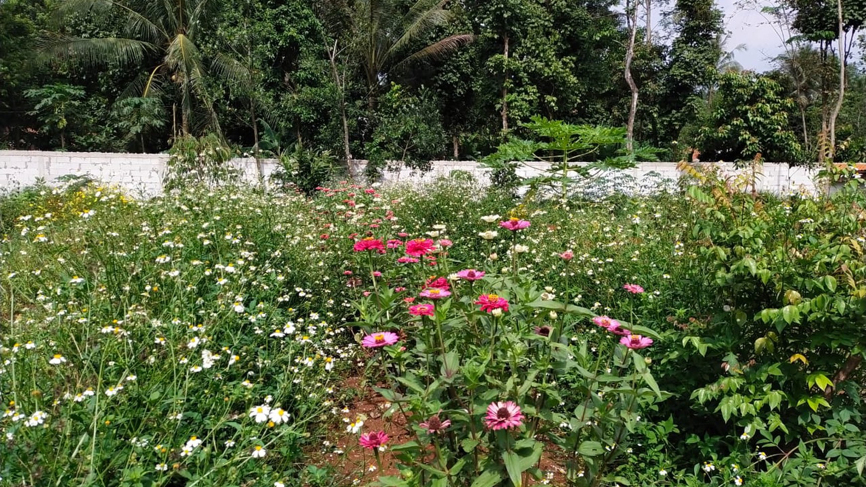 Tanah di Jl. Raya Rumpin - Bogor