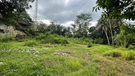 Quick Sale Freehold Land In great Location Pejeng Ubud 