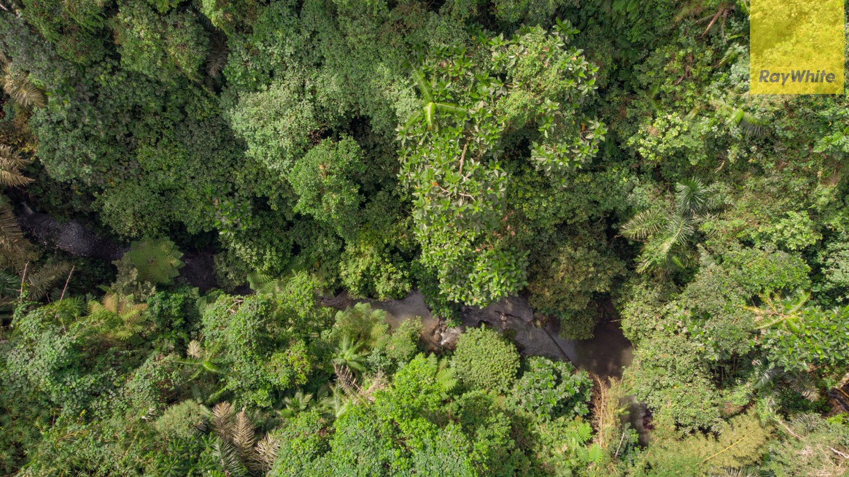12,619 sq m of Freehold Land with Stunning River and Valley Views Located 7 Minutes from Ubud Palace