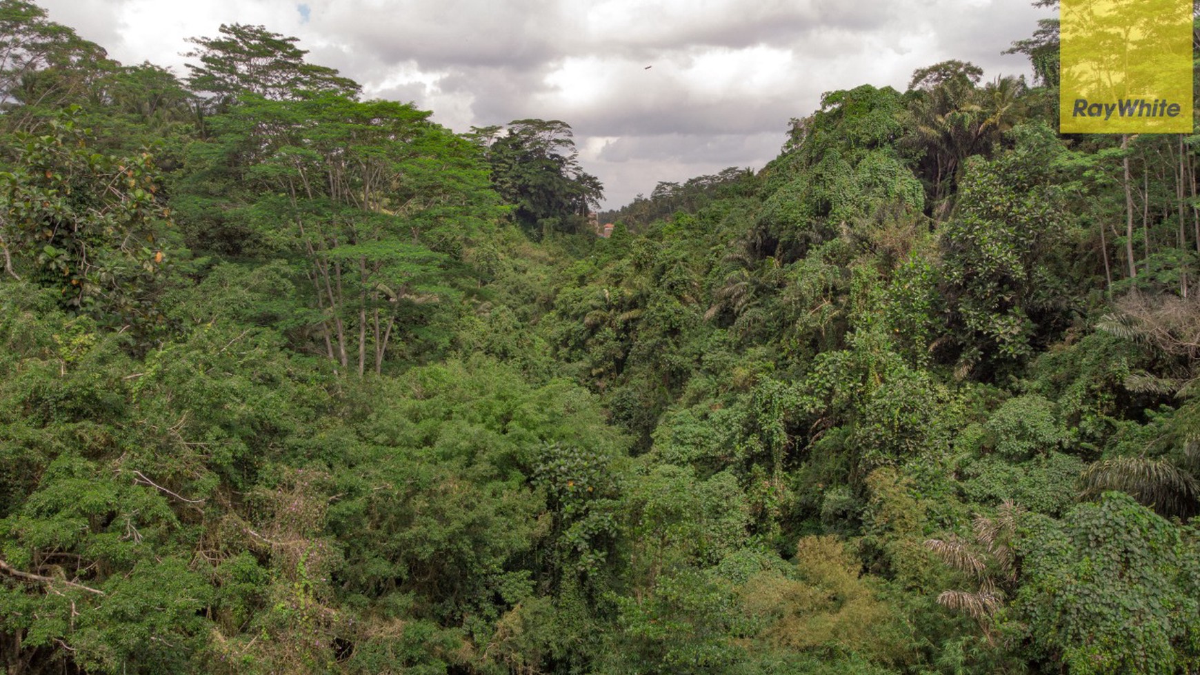 12,619 sq m of Freehold Land with Stunning River and Valley Views Located 7 Minutes from Ubud Palace