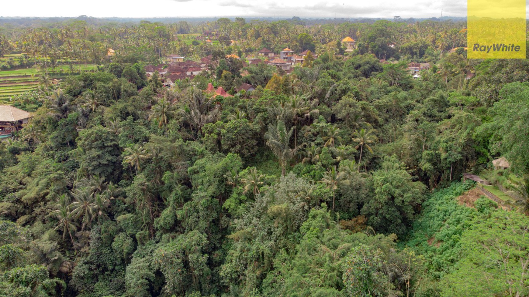 12,619 sq m of Freehold Land with Stunning River and Valley Views Located 7 Minutes from Ubud Palace