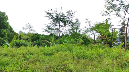 Quick selling Freehold Empty Land in Main Road