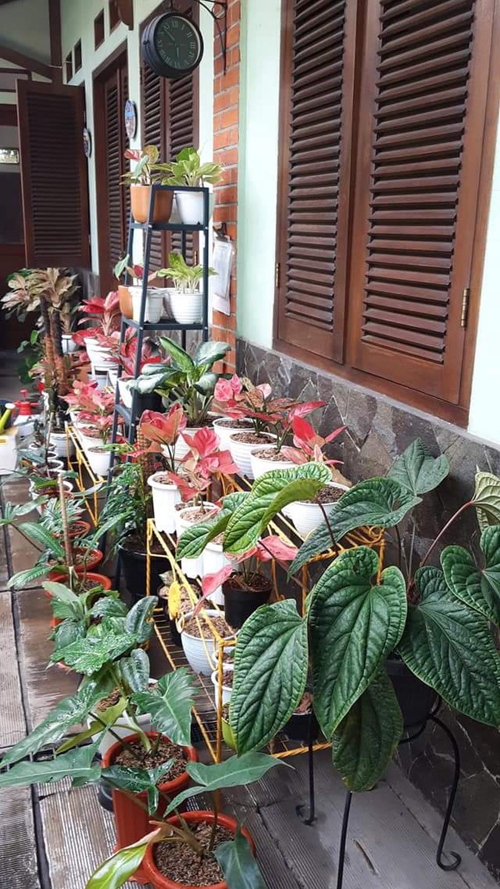 Hunian Asri Luas Diarea Jl Chairil Anwar Kreo, Near Gate Tol Kebon Jeruk