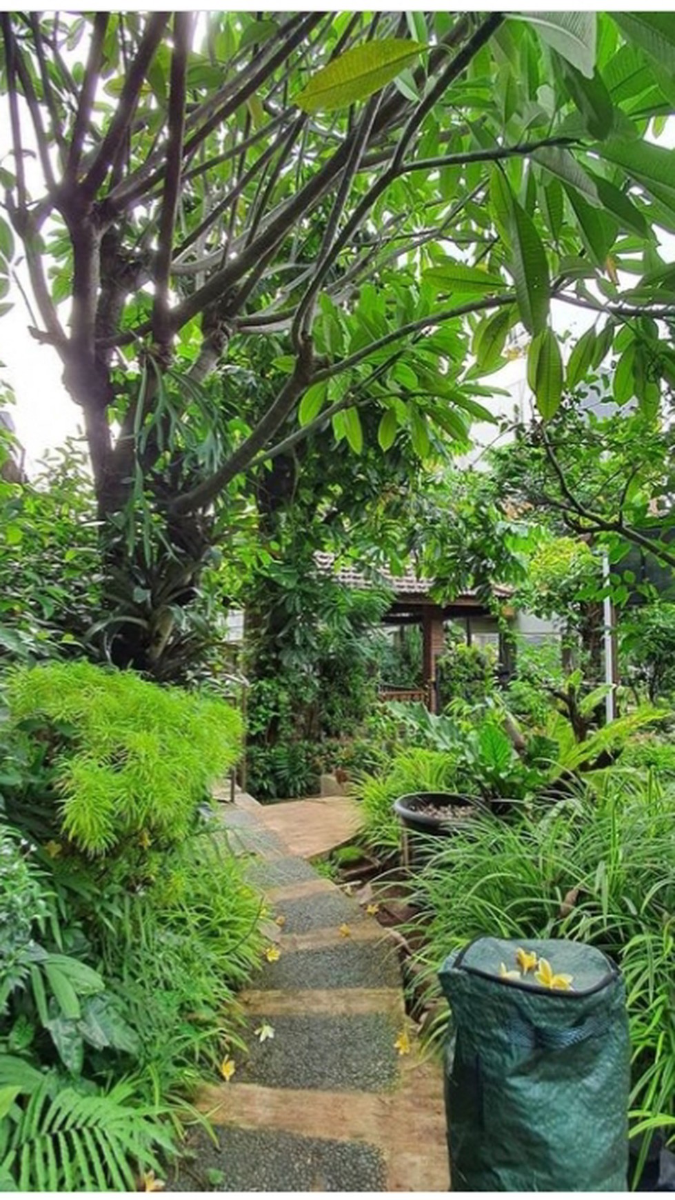 Hunian Asri Luas Diarea Jl Chairil Anwar Kreo, Near Gate Tol Kebon Jeruk