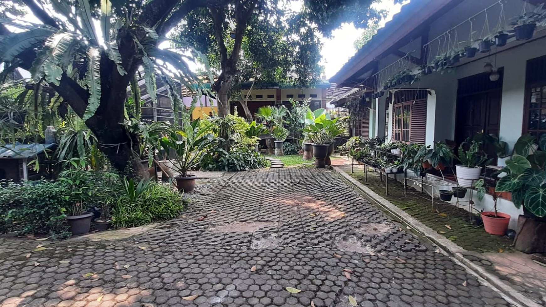 Hunian Asri Luas Diarea Jl Chairil Anwar Kreo, Near Gate Tol Kebon Jeruk