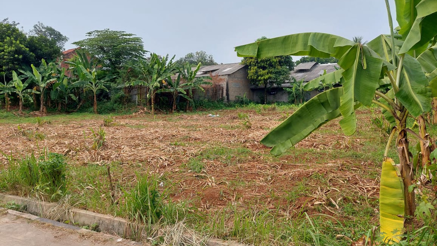 Tanah di Cileungsi