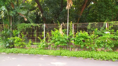 Tanah di Pegangsaan Dua Kelapa Gading Jakarta Utara cocok utk gudang