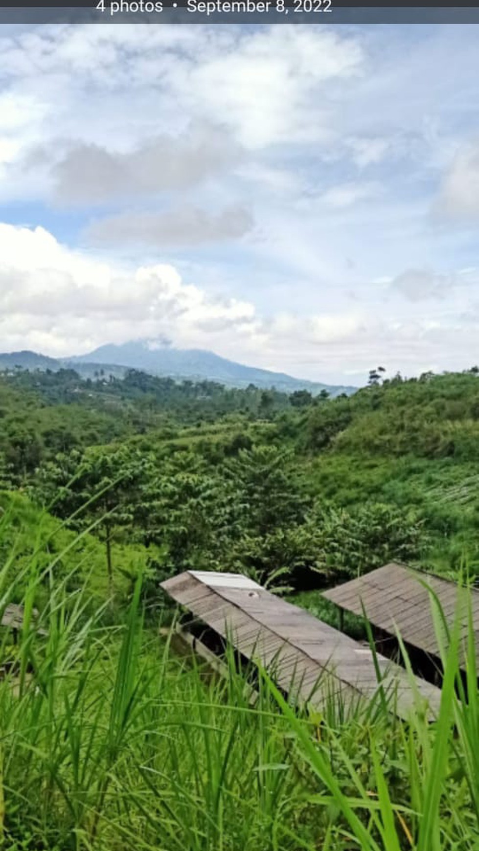 DIJUAL ,  LAHAN PETERNAKAN DAN PERTANIAN SERTA RUMAH TINGGAL DI KAKI GUNUNG HALIMUN 